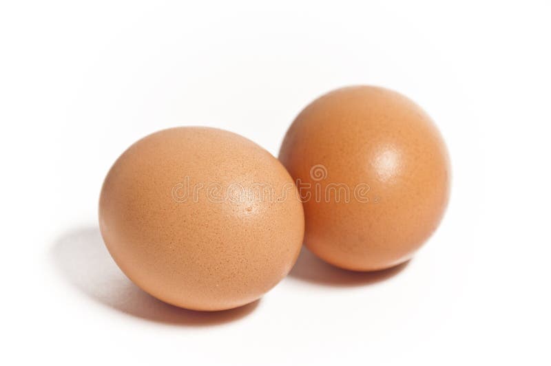 Supplément Oeuf